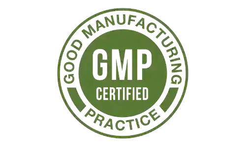 digestsync gmp certified
